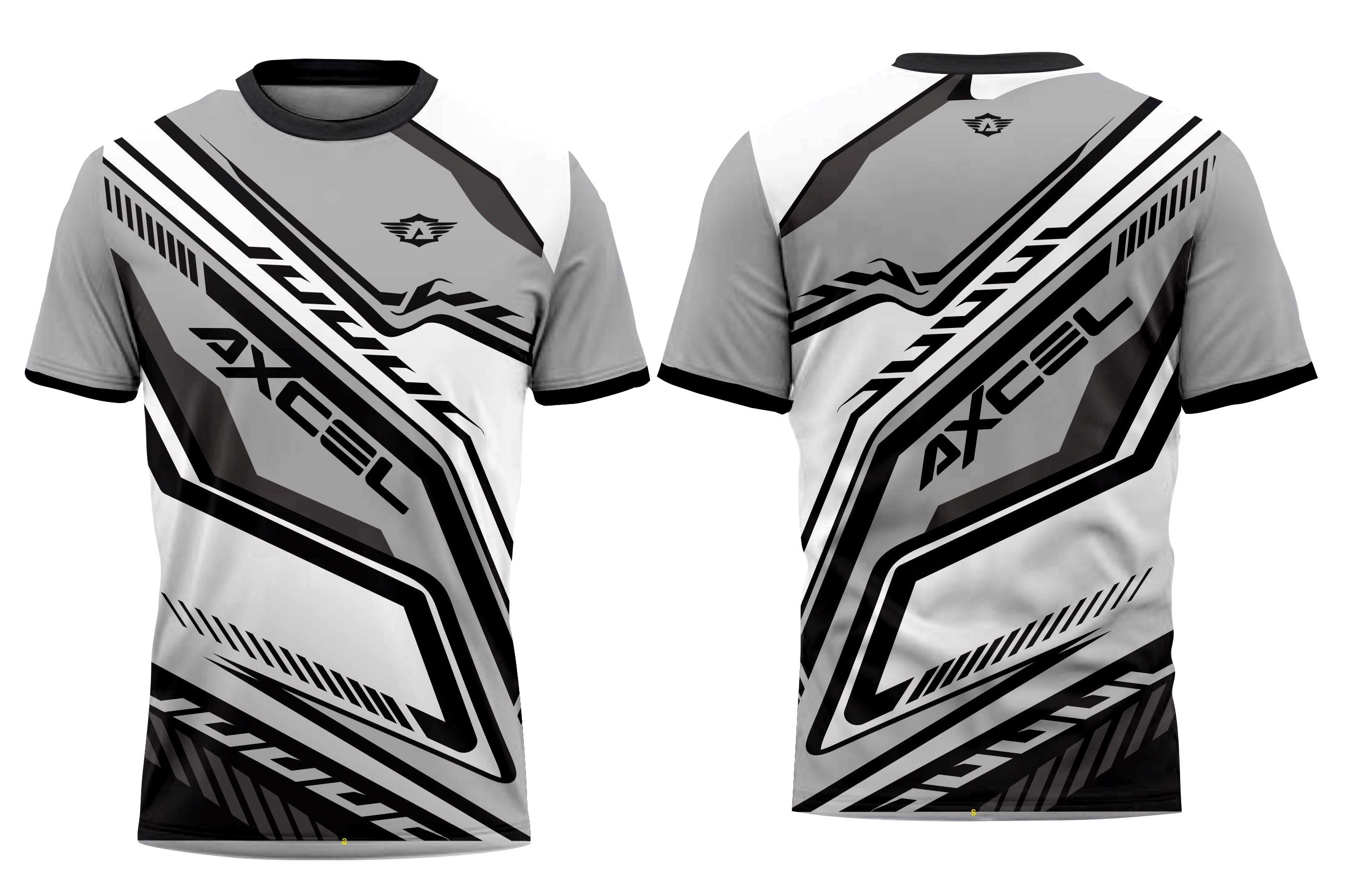 Pasini T Shirt GW